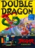 Double Dragon V: The Shadow Falls Box Art