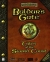Baldur's Gate: Tales of the Sword Coast Box Art
