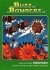Buzz Bombers Box Art