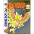 Pokemon Gold Box Art
