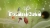 Botanicula (GOG.com) Box Art