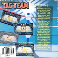 American Tag-Team Wrestling Box Art