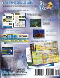 Final Fantasy X Official Strategy Guide Box Art