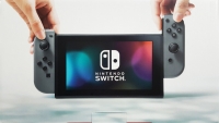 Nintendo Switch (Grey / Grey) [EU] Box Art
