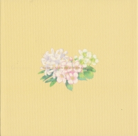 Flowers: Le volume sur automne - Official Fanbook Box Art