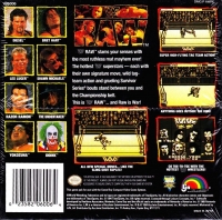 WWF Raw Box Art