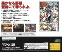 Langrisser IV Box Art