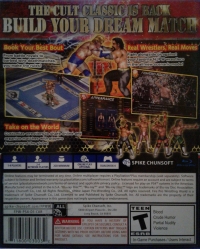 Fire Pro Wrestling World Box Art