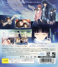 White Album 2: Shiawase no Mukougawa Box Art