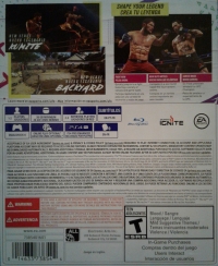 EA Sports UFC 4 Box Art