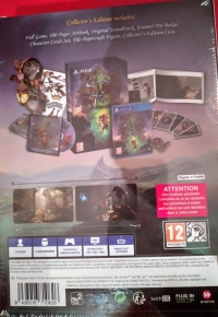 Ghost of a Tale - Collector's Edition Box Art