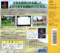 Perfect Golf, The Box Art