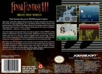 Final Fantasy III: Brave New World Box Art