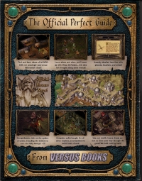Official Baldur's Gate II: Shadows of Amn Perfect Guide Box Art