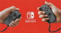 Nintendo Switch (Grey / Grey / HAD / Mario Kart 8 Deluxe) Box Art