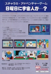 Nichiyoubi ni Uchuujin ga...? Box Art