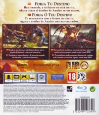 Kingdoms of Amalur: Reckoning [ES][PT] Box Art