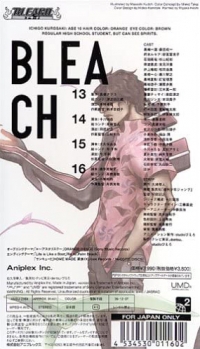 Bleach 4 Box Art