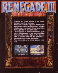 Renegade III: The Final Chapter Box Art