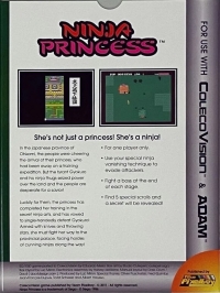 Ninja Princess Box Art