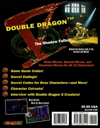 Double Dragon V: The Shadow Falls Official Strategy Guide Box Art
