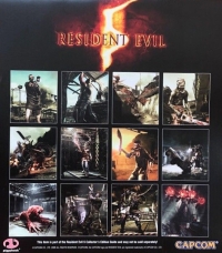 Resident Evil 5 Twelve-Month Calendar Box Art