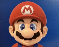 Nintendo Switch - Mario Kart 8 Deluxe / New Super Mario Bros. U Deluxe / Super Mario Odyssey Box Art