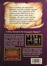 Dungeon Master: Chaos Strikes Back Box Art