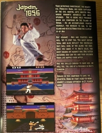 Kung-Fu Combat 2 Box Art