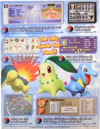 Official Pokémon Stadium 2 Perfect Guide (009281028123) Box Art