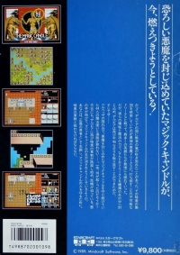 Magic Candle, The Box Art