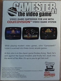 Gamester 81:  The Video Game (CGE) Box Art