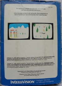 U.S. Ski Team Skiing [CA] Box Art