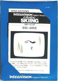 Skiing Box Art