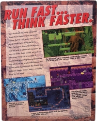 Lode Runner: The Legend Returns Box Art
