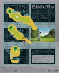 Birdie Try Box Art