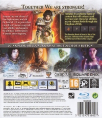 Dungeon Siege III - Limited Edition Box Art