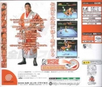 Giant Gram: All Japan ProWrestling 2 Box Art