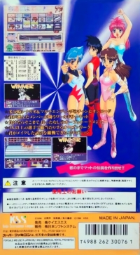 Bishoujo Wrestler Retsuden: Blizzard Yuki Rannyuu Box Art