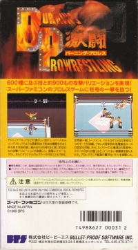 Gekitou Burning Pro Wrestling Box Art