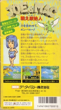 Joe & Mac: Tatakae Genshijin Box Art