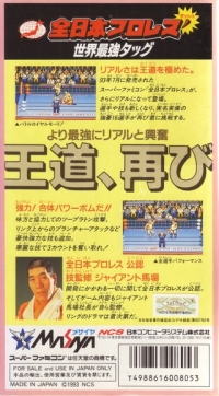 Zen-Nippon Pro Wrestling Dash: Sekai Saikyou Tag Box Art