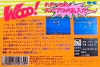 Super Star Pro Wrestling Box Art