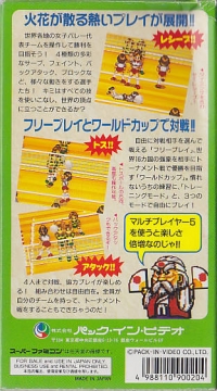 Multi Play Volleyball Box Art