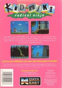 Kid Niki: Radical Ninja (3 screw cartridge) Box Art