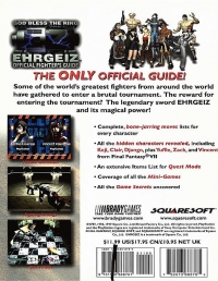 Official Ehrgeiz Fighter's Guide Box Art