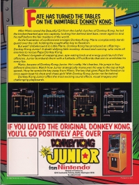 Donkey Kong Junior Arcade Flyer Box Art