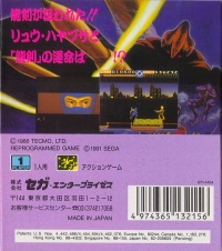 Ninja Gaiden Box Art