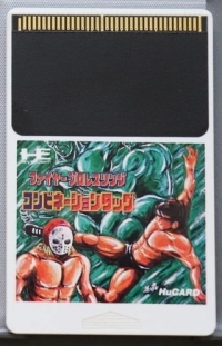 Fire ProWrestling: Combination Tag Box Art