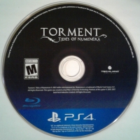 Torment: Tides of Numenera - Day One Edition Box Art